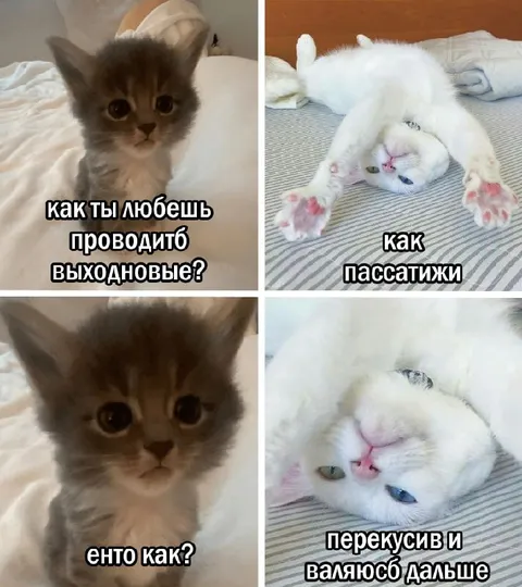 Как проводишь выходновые