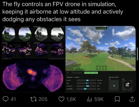 Fly Controls FPV Drone