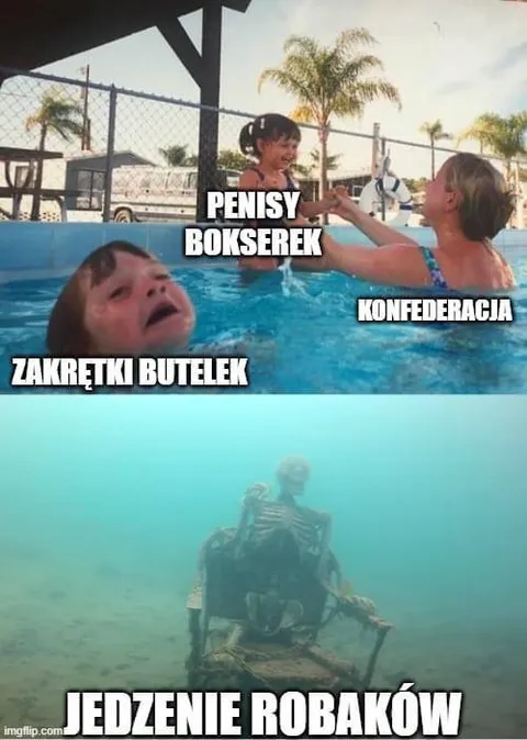 Konfederacja i jedzenie robaków