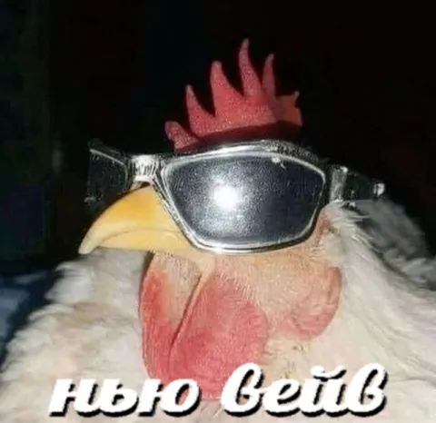 Курица в крутых очках