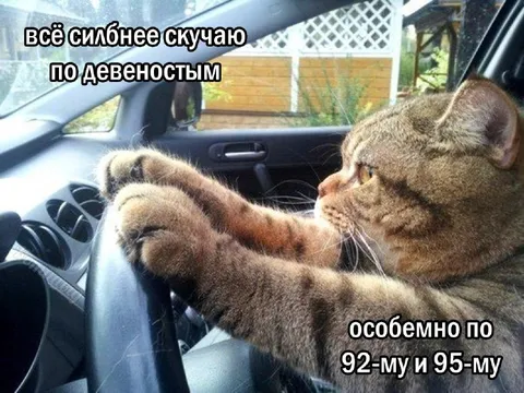 Кот скучает по девяностым