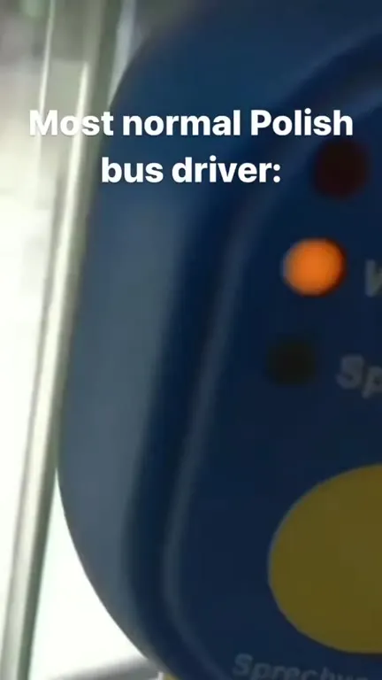 Most Normal Polish Bus Driver