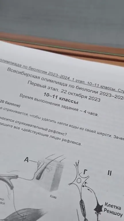 А вот и человек разумный