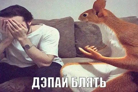 Белка говорит «ДЭПАЙ БЛЯТЬ»