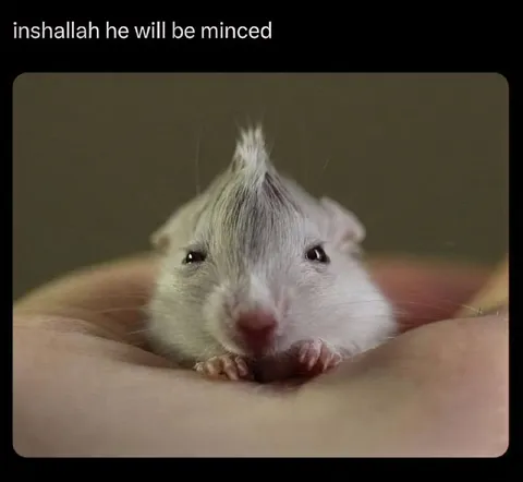Inshallah He Will Be Minced