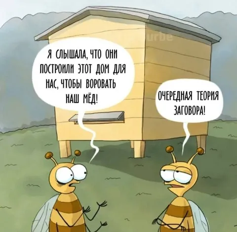 Пчёлы и теория заговора