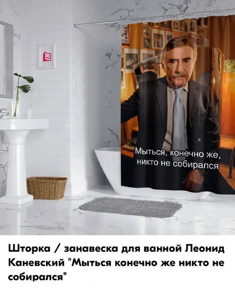 Занавеска Леонида Каневского