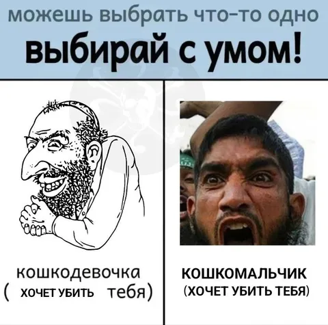 Кошкодевочка или кошкомальчик