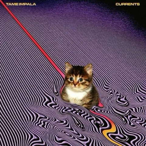 Warped Tame Impala Kitten