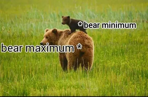 Bear Minimum Bear Maximum