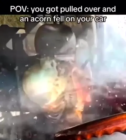Acorn Destroys the Car