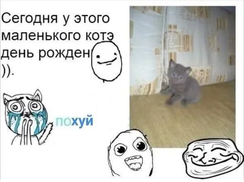 День рождения маленького котэ