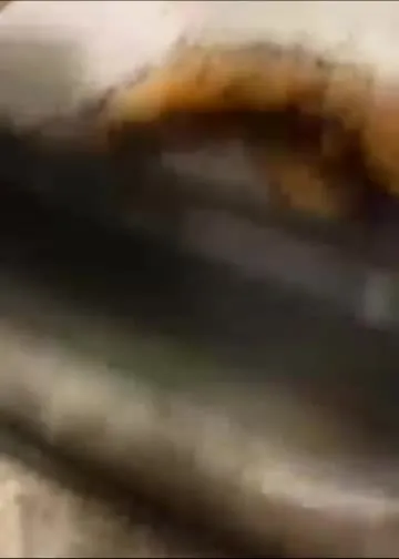 Frog in the Drain Game Over