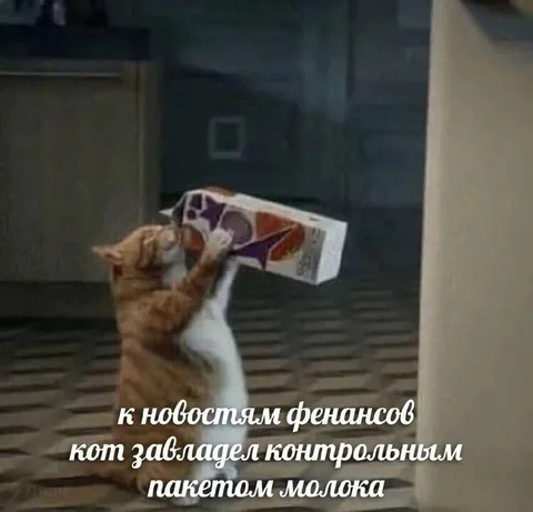 Кот завладел контрольным пакетом молока