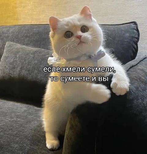 Если смогли, то сумеете и вы