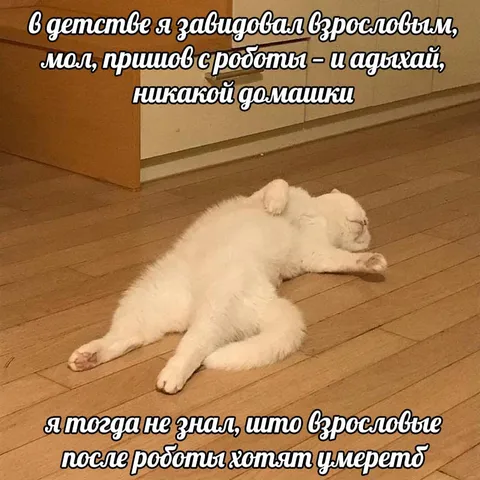 Взрослые после работы