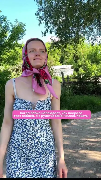Бабка увидела собачьи дела