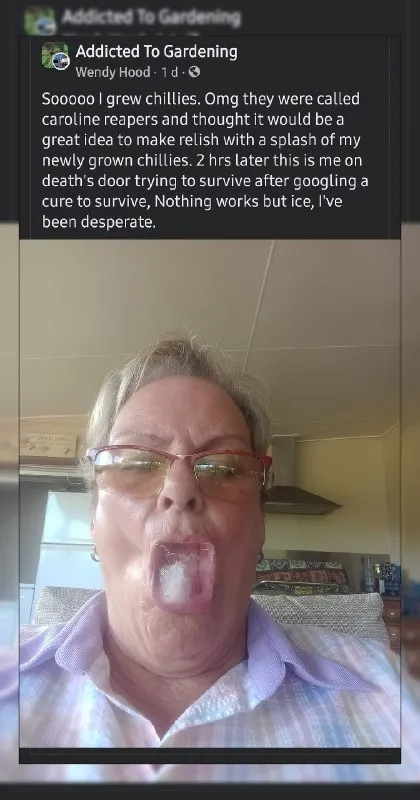 Chili Relish Tongue Disaster