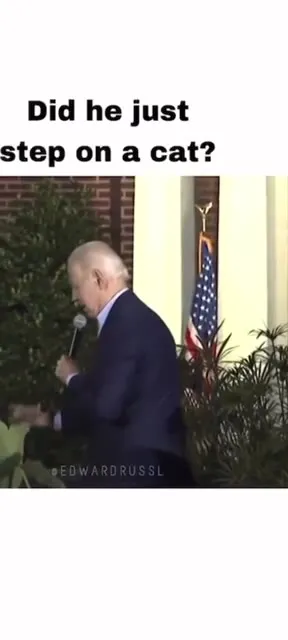 Did He Just Step on a Cat?