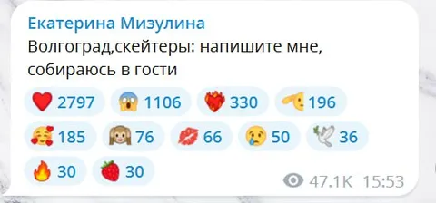 Мизулина едет к скейтерам