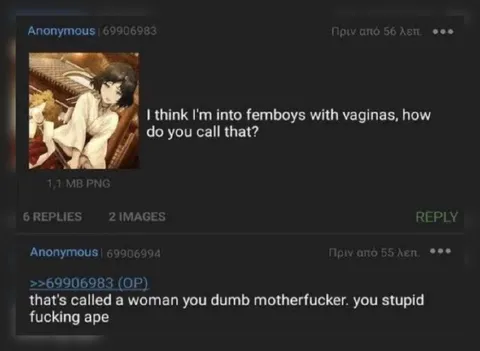 Femboy Misidentification Roast