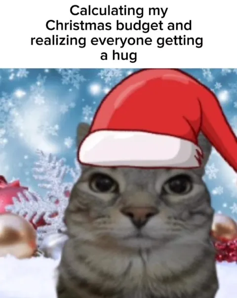 Christmas Budget Cat Hug