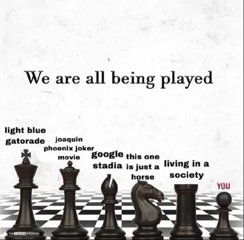 We Are All Being Played Chess