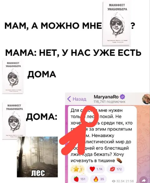 Манифест унабомбера дома