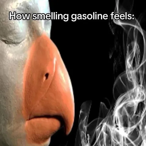 How Smelling Gasoline Feels