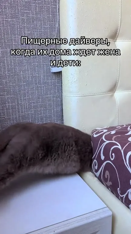 Пиццерный дайвер прячется от семьи