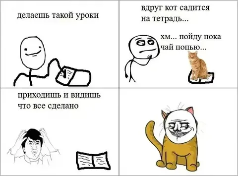 Кот сделал уроки за тебя