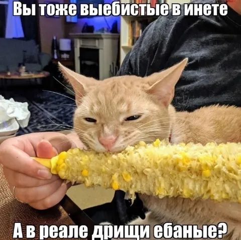 Вы тоже выбелистые в инете