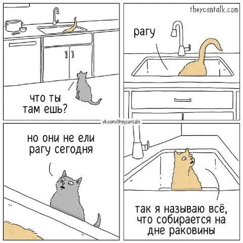 Кот ест рагу из раковины