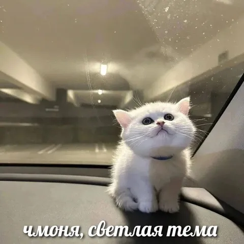 Имoня, светлая темя