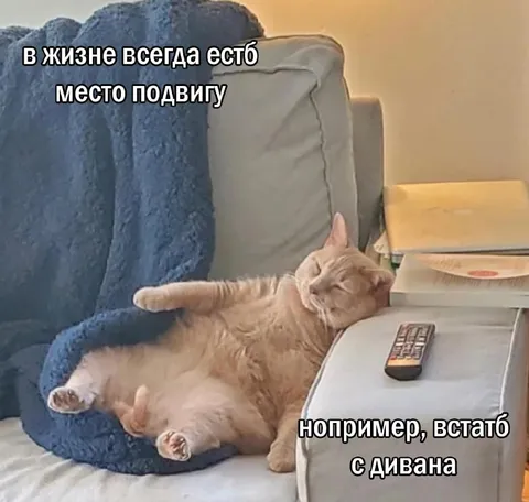 Место подвигу на диване