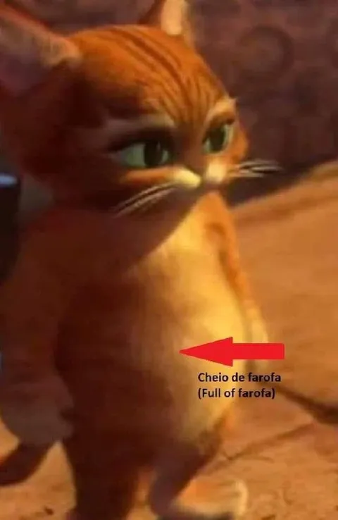 Gato cheio de farofa