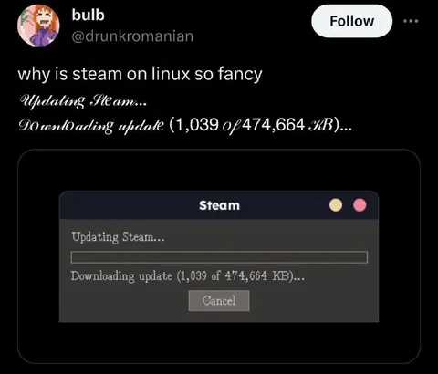 Steam Update on Linux