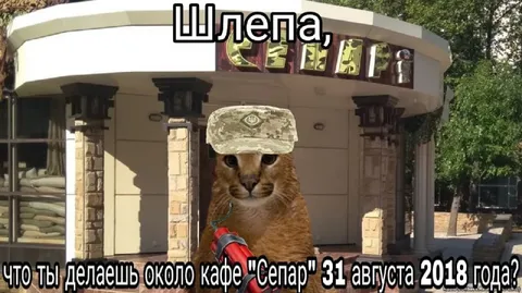 Шлепа у кафе «Сепар»