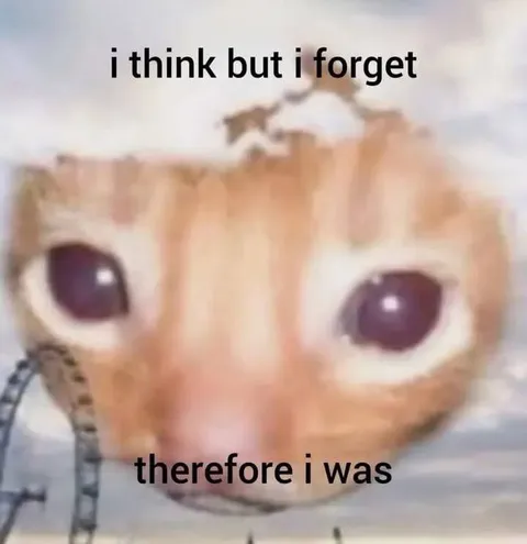 I Think But I Forget