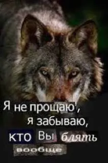 Я не прощаю, я забываю