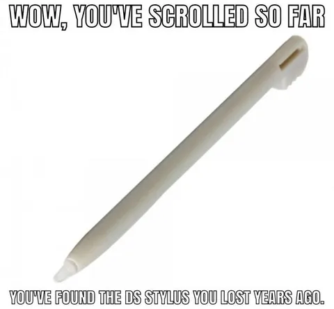 Lost DS Stylus Found