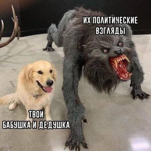 Политические взгляды бабушки и дедушки