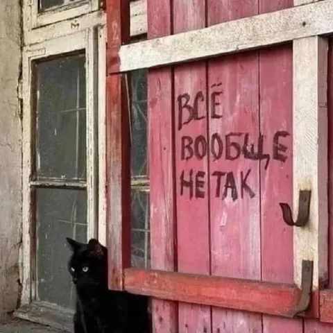 Всё вообще не так