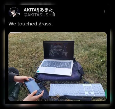 We Touched Grass