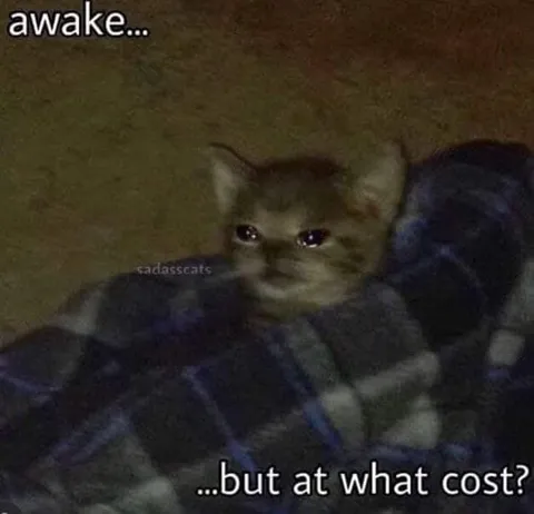 Awake But At What Cost