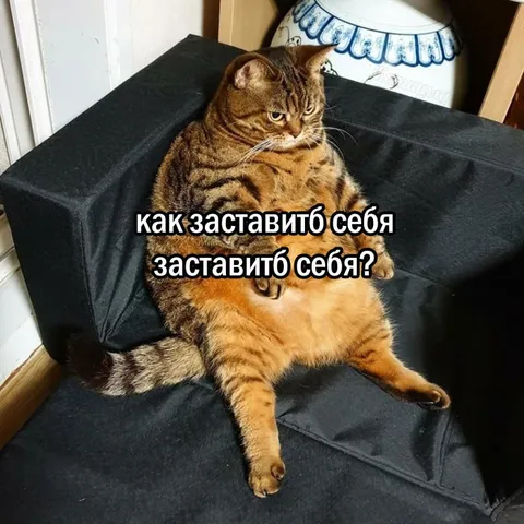 Как заставить себя что-то сделать