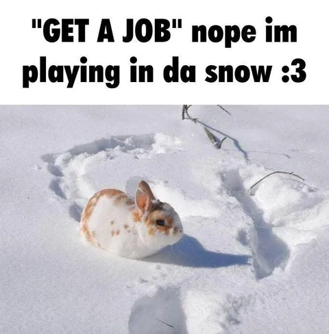 Rabbit Playing in the Snow