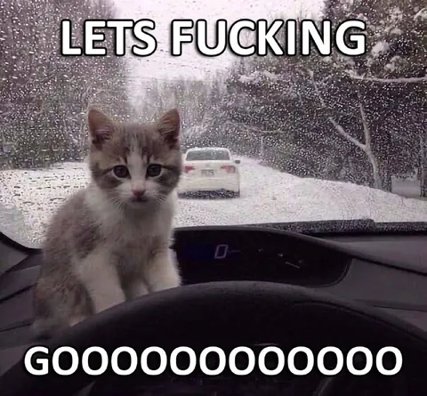 Kitten Says Let's Fucking Go