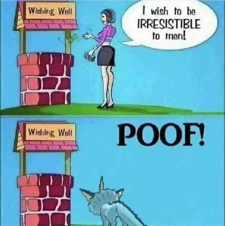 Irresistible to Men