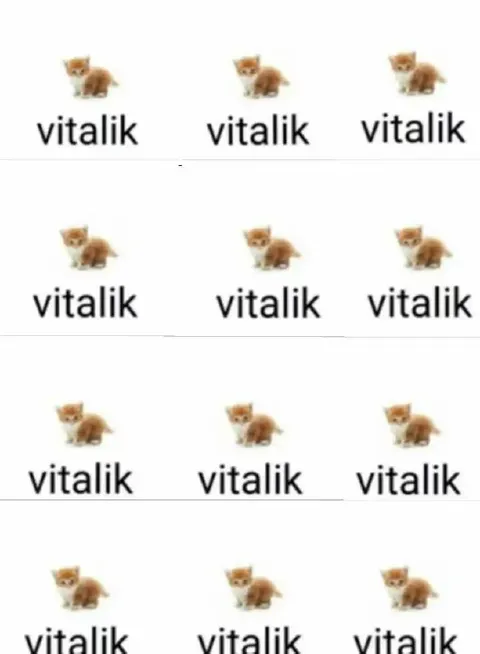 Repeated Vitalik Kittens